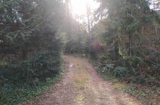 Grundstück zu kaufen in 30900 Wedemark, Bissendorf-Wietze einmalig attraktive Lage