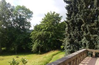 Wohnung mieten in 08223 Falkenstein, Tolle Altbauwohnung mir großer Terrasse !