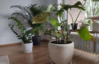 Wohnung mieten in 40699 Erkrath, Alt-Erkrath: gepflegte 2-Zi-Wohnung mit Balkon