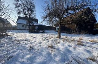 Haus kaufen in 92559 Winklarn, Großes Grundstück mit vielseitigen Nutzungsmöglichkeiten + Wohnhaus und Scheune * Alte Hofstelle