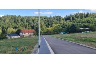 Haus kaufen in 55758 Niederhosenbach, Schlüsselfertig Bauen "Auf Hinzerich" mit Heinz von Heiden Ihr Massivbauspezialist in ihrer Region!