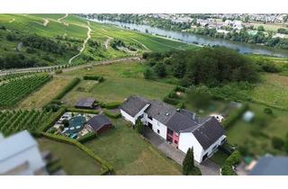 Haus kaufen in 54470 Graach, Wohnen über der Mosel: Modernisiertes Doppelangebot mit großem Grundstück
