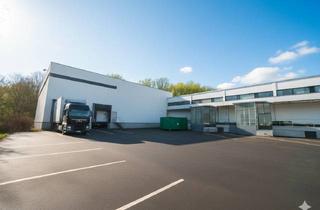 Büro zu mieten in 65232 Taunusstein, Top Lager / Halle ➕ Büro ➕ 2 Laderampen ➕ Parkplätze ➕ incl. Palettenregale