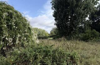 Grundstück zu kaufen in 38108 Braunschweig, Einmalige Baulücke im historisch gewachsenen Ortskern von Querum – direkt am Landschaftsschutzgebiet