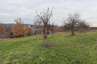 Grundstück zu kaufen in 96185 Schönbrunn, ERFÜLLEN SIE SICH DEN TRAUM VOM BAUEN