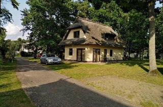 Haus kaufen in 17419 Korswandt, Korswandt - Ferienhaus mit Sauna