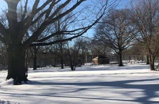 Wohnung kaufen in Plänterwald, 12435 Plänterwald, Stylish 3-Room Altbau Apartment | Prime Parkside Living in Berlin