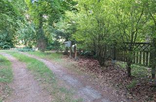 Wohnung mieten in 29640 Schneverdingen, EG Wohnung mit Sonnenterasse