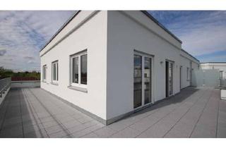 Wohnung mieten in Rosenfelder Straße 27, 10315 Friedrichsfelde, Lass die Sonne in dein Herz.