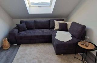 Wohnung mieten in 64739 Höchst, Charmante/möblierte 1-Zimmer Dachgeschoss-Apartment in Höchst im Odenwald