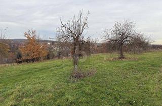 Grundstück zu kaufen in 96185 Schönbrunn, BAUBEREICH IN IDYLLISCHER UMGEBUNG