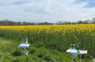 Grundstück zu kaufen in 24837 Schleswig, Schleswig - Baugrundstück mit Schleiblick – der ideale Ort für Ihr Eigenheim