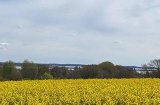 Grundstück zu kaufen in Johannistaler Weg 44, 24837 Schleswig, Schleswig - Baugrundstück mit Schleiblick – der ideale Ort für Ihr Eigenheim