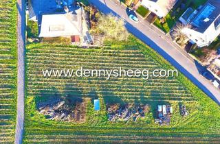 Grundstück zu kaufen in 65385 Rüdesheim am Rhein, Einzigartiges Baugrundstück in Rheingauer Toplage | WOHNEN IM WEINBERG