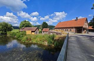 Gewerbeimmobilie kaufen in Mühleweg, 89520 Heidenheim, herrliches Grundstück mit direktem Wasserzugang und enormen Potenzial