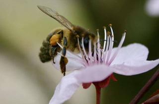 Wohnung kaufen in Reichenbachstraße, 83435 Bad Reichenhall, Terrassentraum! Wunderschöne, lichtdurchflutete Wohnung mit großzügiger Terrasse und Einzelgarage!