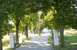 Wohnung mieten in Gut Wandelheim, 82110 Germering, Wohnung im Nebengebäude des Gutshofes mit großzügigem Ambiente im Grünen