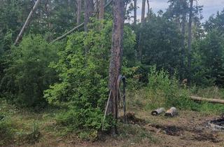 Grundstück zu kaufen in 04849 Bad Düben, Wochenendgrundstück, Ferienhaus