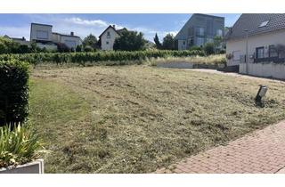 Grundstück zu kaufen in Spiegelbergstraße 64, 55283 Nierstein, Wunderschönes, sonniges Baugrundstück mit Weitblick in Nierstein