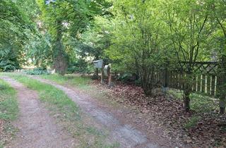 Wohnung mieten in 29640 Schneverdingen, Anliegerwohnung mit Sonnenterasse