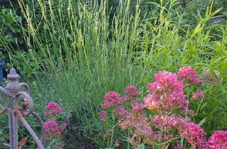 Haus kaufen in 37085 Göttingen, Göttingen - Reihenmittelhaus, Geismar-Gö Verkauf o. Miete