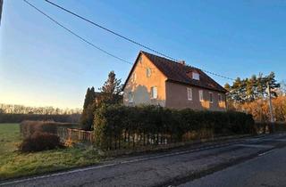 Einfamilienhaus kaufen in 09114 Chemnitz, Chemnitz - Einfamilienhaus mit grossem Grundstück, Nebengelass