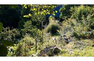 Haus kaufen in 79837 St. Blasien, St. Blasien - Sparsames, weitgehend autarkes wunderschön gelegenes Haus