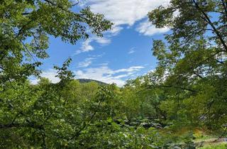 Wohnung kaufen in 53474 Bad Neuenahr-Ahrweiler, Lichtverwöhnte, urbane Stadtwohnung mit Süd-Balkon in beliebter Ahrlage von Bad Neuenahr!