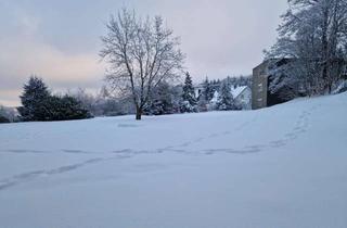 Wohnung kaufen in Weltringpark, 59955 Winterberg, Beste Lage!!! Schönes 1 Raum Appartement in Winterberg - Provisionsfrei vom Eigentümer