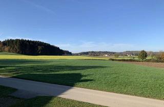 Wohnung mieten in 83370 Seeon, Exklusive 2-Zimmer Maisonette-Wohnung mit Balkon in Seeon-Seebruck