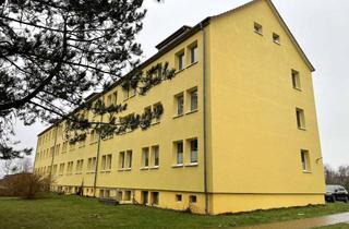 Wohnung mieten in Dorfstraße 69a, 18569 Trent, gemütliche sanierte 3 Zimmer Wohnung im schönen Trent