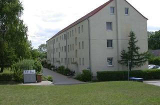 Wohnung mieten in Dübener Straße 15b, 04880 Dommitzsch, Wohnen in Dommitzsch