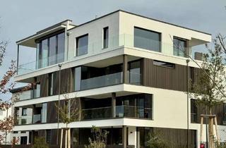 Wohnung mieten in 68519 Viernheim, Neubau/Erstbezug - Exclusive 3-ZKB-EG-Wohnung mit großer Terrasse im 5-Fam.-Haus.