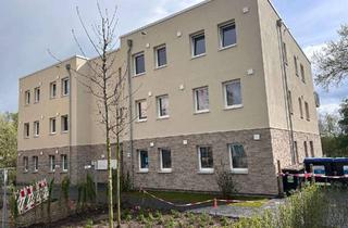 Wohnung mieten in 23858 Reinfeld, Sehr schöne 3-Zimmer Wohnung im Souterrain in Reinfeld