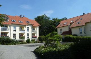 Wohnung mieten in Schlosspark, 38895 Derenburg, Herrliches Wohnen im Schloßpark in schöner 2Zi. EG-Wohnung mit Balkon und direktem Gartenzugang