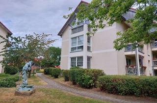 Wohnung mieten in Schlosspark, 38895 Derenburg, Gehobenes Wohnen im Schloßpark in schöner 2Zi. EG-Wohnung mit Balkon und direktem Gartenzugang