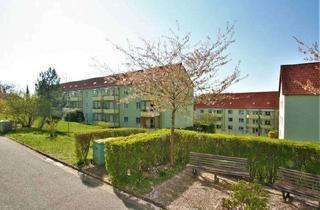 Wohnung mieten in Ernst-Thälmann-Siedlung 14, 09337 Hohenstein-Ernstthal, Tolle Wohnung in Siedlungslage!!