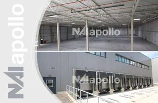 Gewerbeimmobilie mieten in 55286 Wörrstadt, ! 10.000 m² Bestandsflächen ☆ gut gepflegt ☆ attraktiver Mietzins ☆ sofort verfügbar !