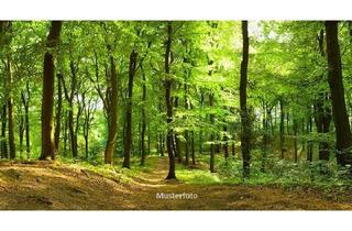 Grundstück zu kaufen in Eckardt, 07907 Löhma, Waldfläche