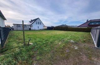 Grundstück zu kaufen in Mohrmannshofer Straße, 17098 Friedland, Baugrundstück in attraktiver Lage - Friedland - Mecklenburgische Seenplatte