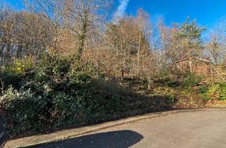 Grundstück zu kaufen in 57537 Forst, ***Wohntraum mit Panoramablick*** ***Ihr Logenplatz im Westerwald***