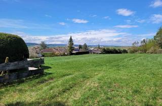 Grundstück zu kaufen in 71296 Heimsheim, Baugrundstück DHH in Heimsheim | Süd- und Aussichtslage