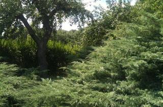 Grundstück zu kaufen in Ernst Toller Straße .., 16341 Panketal, Tolles Einzelgrundstück in Neu-Buch direkt an der Stadtgrenze zu Berlin