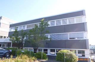 Gewerbeimmobilie mieten in Assar-Gabrielsson-Straße 1a+b, 63128 Dietzenbach, Großflächige Gewerbe-Einheit im Dietzenbacher Industriegebiet