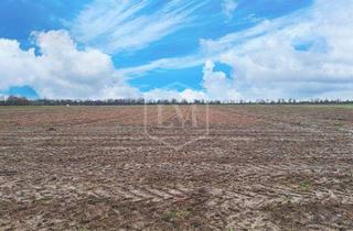 Immobilie kaufen in 41352 Korschenbroich, Ackerland in Korschenbroich