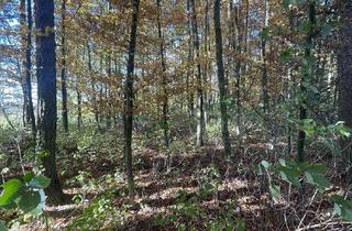 Gewerbeimmobilie kaufen in 85298 Scheyern, Naturnahes Waldgrundstück in Vieth bei Scheyern - Ruhe, Erholung und Natur pur