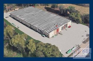 Geschäftslokal mieten in 04571 Rötha, Viel Platz für Ihre Pläne: Gedämmte 900 m² Lagerhalle mit Top-Ausstattung zum Spitzenpreis sichern!