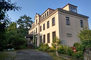 Wohnung kaufen in Schulweg, 01326 Hosterwitz/Pillnitz, Exklusive 5‑Zimmer‑Altbau-Maisonette in Pillnitz mit Weinbergblick – provisionsfrei