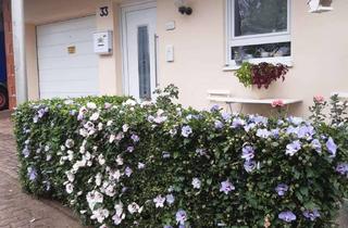 Doppelhaushälfte kaufen in Thüringer Str., 63849 Leidersbach, Viel Platz auf mehreren Ebenen – Doppelhaushälfte mit Garten & Wintergarten