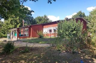 Einfamilienhaus kaufen in 29323 Wietze, Einfamilienhaus in Wietze Ortsteil Jeversen - für den Käufer provisionsfrei